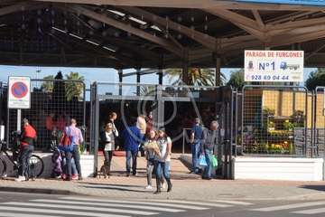 Narea abre como recova con ambiente navideño y de satisfacción general (Foto Francisco Javier Santana y TA)